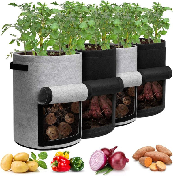 Harvest-Ready Fabric Grow Bags
