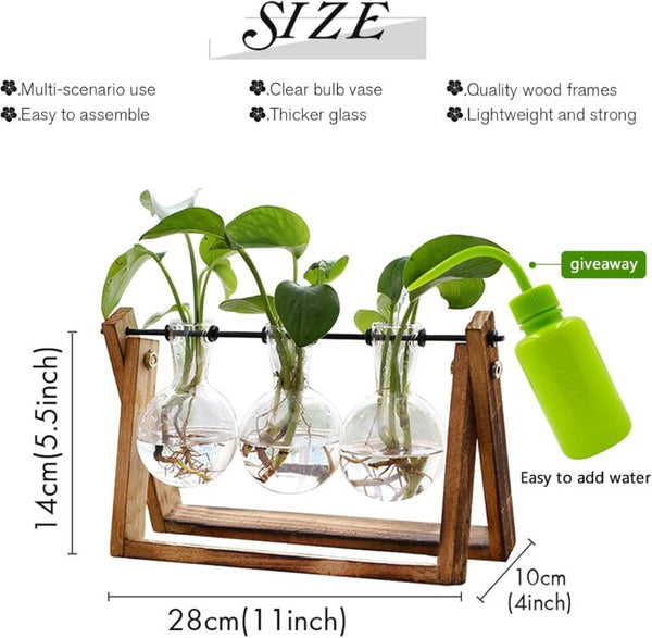 Glass Plant Terrarium