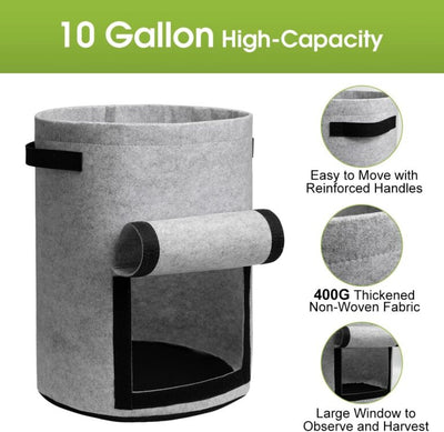 Harvest-Ready Fabric Grow Bags