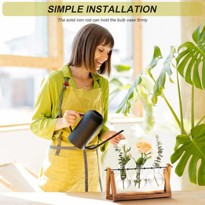 Glass Plant Terrarium