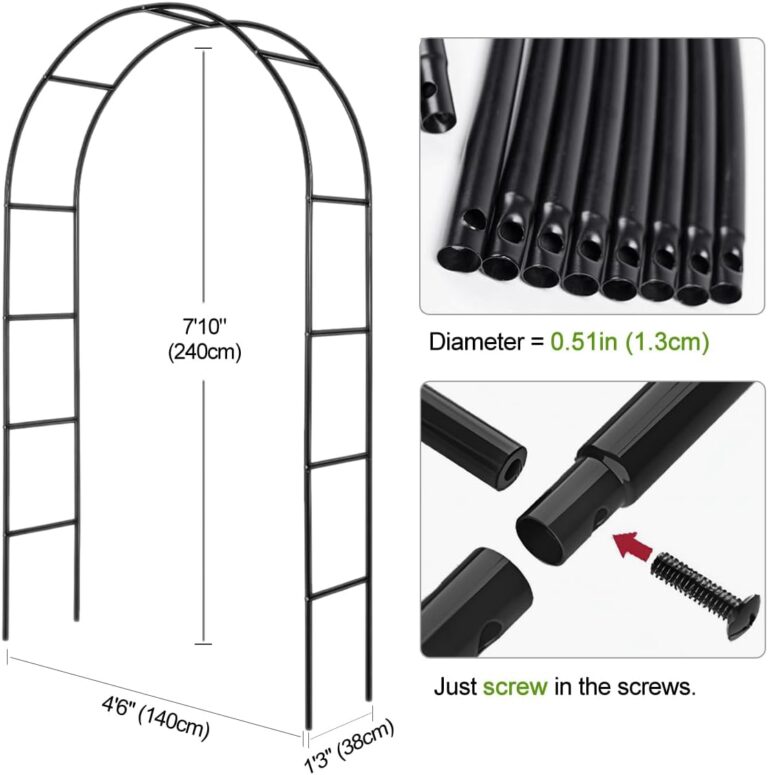 Elegant Metal Garden Arch