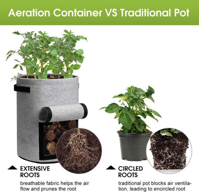 Harvest-Ready Fabric Grow Bags