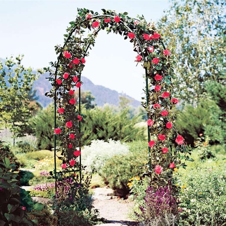 Elegant Metal Garden Arch