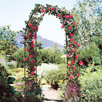 Elegant Metal Garden Arch