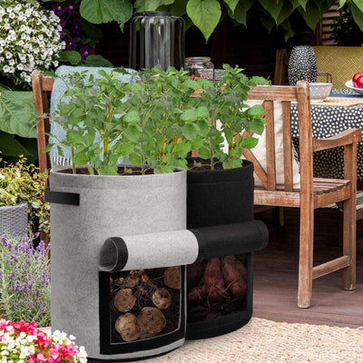 Harvest-Ready Fabric Grow Bags